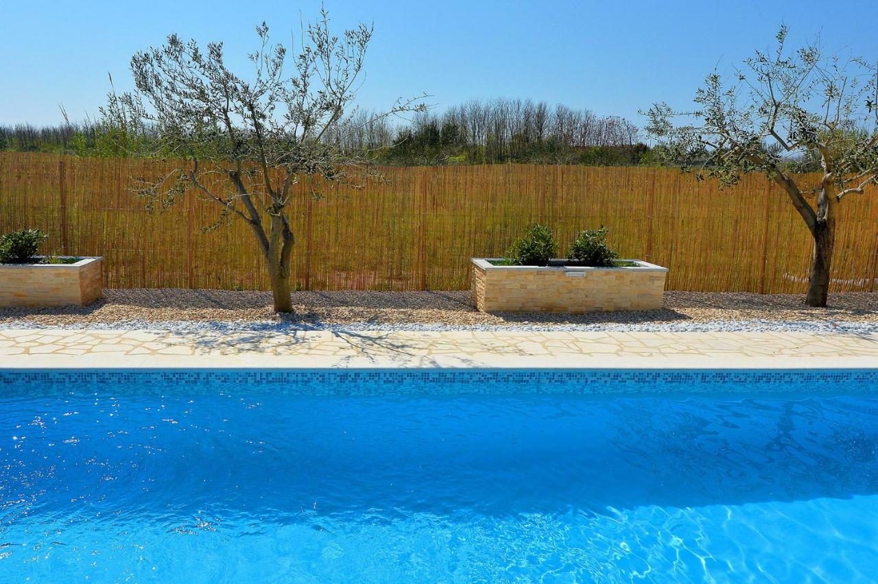 Apartment House Simoni With Pool, Zadar County 普利拉卡 外观 照片